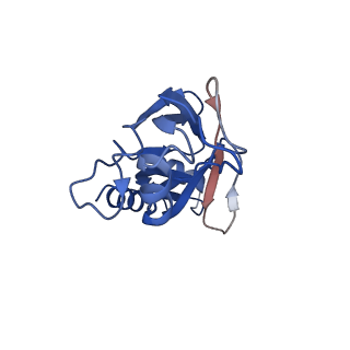 20083_6oj0_g_v1-5
Cryo-EM reconstruction of Sulfolobus polyhedral virus 1 (SPV1)