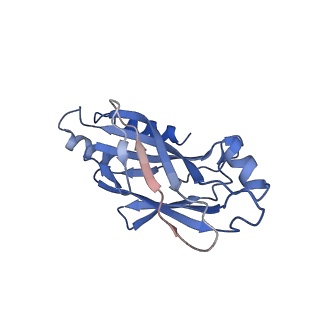 20083_6oj0_h_v1-5
Cryo-EM reconstruction of Sulfolobus polyhedral virus 1 (SPV1)