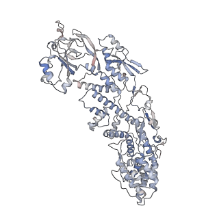 20086_6oj3_A_v1-4
In situ structure of rotavirus VP1 RNA-dependent RNA polymerase (TLP)