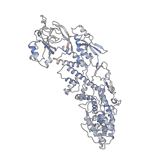 20086_6oj3_A_v1-5
In situ structure of rotavirus VP1 RNA-dependent RNA polymerase (TLP)