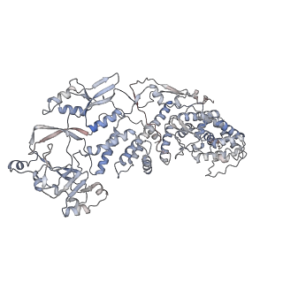 20086_6oj3_B_v1-4
In situ structure of rotavirus VP1 RNA-dependent RNA polymerase (TLP)