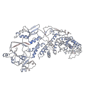 20086_6oj3_B_v1-5
In situ structure of rotavirus VP1 RNA-dependent RNA polymerase (TLP)