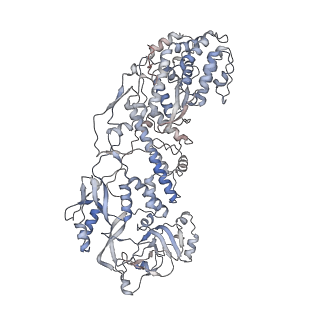 20086_6oj3_C_v1-4
In situ structure of rotavirus VP1 RNA-dependent RNA polymerase (TLP)