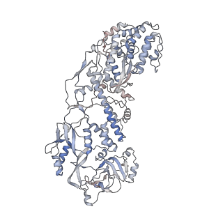 20086_6oj3_C_v1-5
In situ structure of rotavirus VP1 RNA-dependent RNA polymerase (TLP)