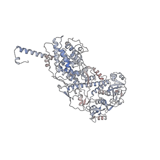 20086_6oj3_D_v1-4
In situ structure of rotavirus VP1 RNA-dependent RNA polymerase (TLP)
