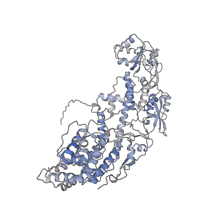 20086_6oj3_E_v1-4
In situ structure of rotavirus VP1 RNA-dependent RNA polymerase (TLP)