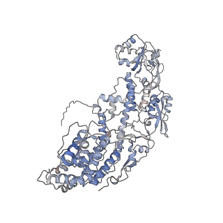 20086_6oj3_E_v1-5
In situ structure of rotavirus VP1 RNA-dependent RNA polymerase (TLP)