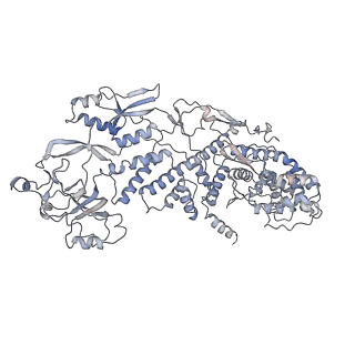 20086_6oj3_F_v1-4
In situ structure of rotavirus VP1 RNA-dependent RNA polymerase (TLP)