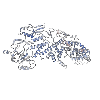 20086_6oj3_F_v1-5
In situ structure of rotavirus VP1 RNA-dependent RNA polymerase (TLP)