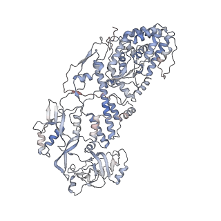 20086_6oj3_G_v1-4
In situ structure of rotavirus VP1 RNA-dependent RNA polymerase (TLP)