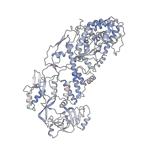 20086_6oj3_G_v1-5
In situ structure of rotavirus VP1 RNA-dependent RNA polymerase (TLP)