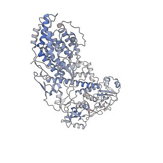 20086_6oj3_H_v1-4
In situ structure of rotavirus VP1 RNA-dependent RNA polymerase (TLP)