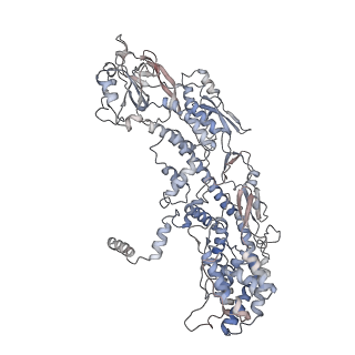20086_6oj3_J_v1-4
In situ structure of rotavirus VP1 RNA-dependent RNA polymerase (TLP)