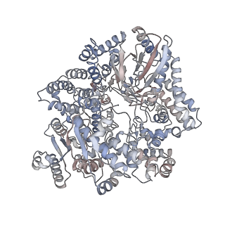 20086_6oj3_P_v1-4
In situ structure of rotavirus VP1 RNA-dependent RNA polymerase (TLP)