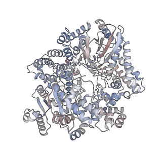 20086_6oj3_P_v1-5
In situ structure of rotavirus VP1 RNA-dependent RNA polymerase (TLP)