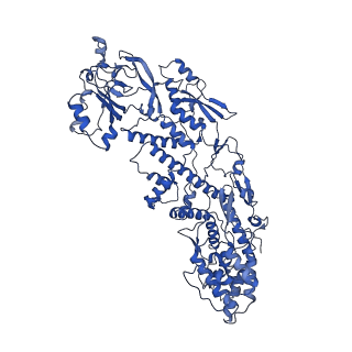 20087_6oj4_A_v1-4
In situ structure of rotavirus VP1 RNA-dependent RNA polymerase (DLP)