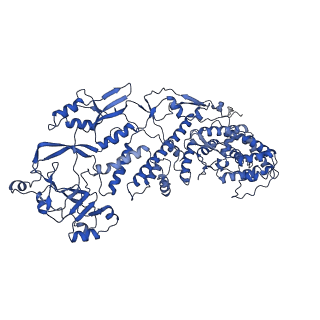 20087_6oj4_B_v1-4
In situ structure of rotavirus VP1 RNA-dependent RNA polymerase (DLP)