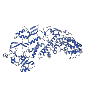 20087_6oj4_B_v1-5
In situ structure of rotavirus VP1 RNA-dependent RNA polymerase (DLP)