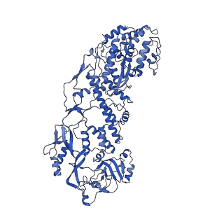 20087_6oj4_C_v1-4
In situ structure of rotavirus VP1 RNA-dependent RNA polymerase (DLP)