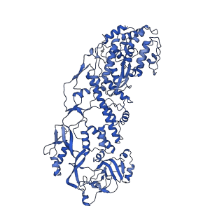 20087_6oj4_C_v1-5
In situ structure of rotavirus VP1 RNA-dependent RNA polymerase (DLP)