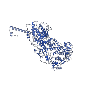20087_6oj4_D_v1-4
In situ structure of rotavirus VP1 RNA-dependent RNA polymerase (DLP)