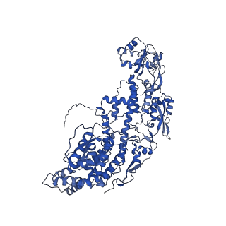 20087_6oj4_E_v1-4
In situ structure of rotavirus VP1 RNA-dependent RNA polymerase (DLP)