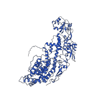 20087_6oj4_E_v1-5
In situ structure of rotavirus VP1 RNA-dependent RNA polymerase (DLP)