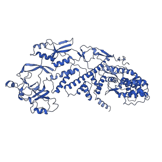 20087_6oj4_F_v1-4
In situ structure of rotavirus VP1 RNA-dependent RNA polymerase (DLP)