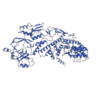 20087_6oj4_F_v1-5
In situ structure of rotavirus VP1 RNA-dependent RNA polymerase (DLP)