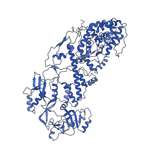 20087_6oj4_G_v1-4
In situ structure of rotavirus VP1 RNA-dependent RNA polymerase (DLP)