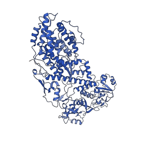 20087_6oj4_H_v1-4
In situ structure of rotavirus VP1 RNA-dependent RNA polymerase (DLP)