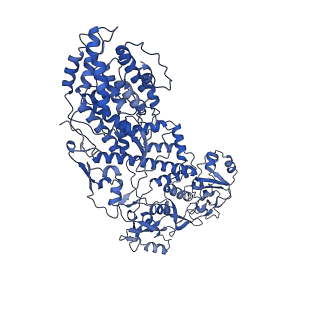 20087_6oj4_H_v1-5
In situ structure of rotavirus VP1 RNA-dependent RNA polymerase (DLP)