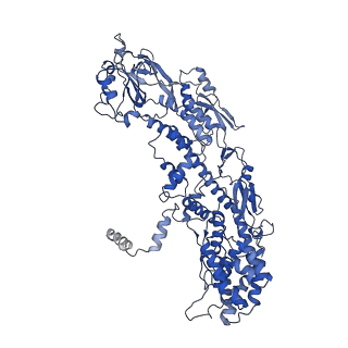 20087_6oj4_J_v1-4
In situ structure of rotavirus VP1 RNA-dependent RNA polymerase (DLP)