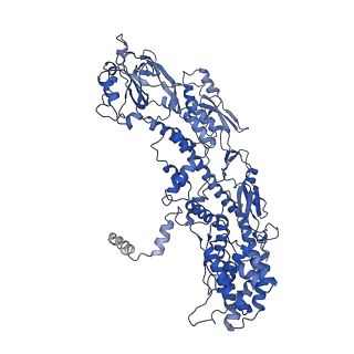 20087_6oj4_J_v1-5
In situ structure of rotavirus VP1 RNA-dependent RNA polymerase (DLP)