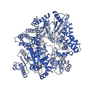 20087_6oj4_P_v1-4
In situ structure of rotavirus VP1 RNA-dependent RNA polymerase (DLP)