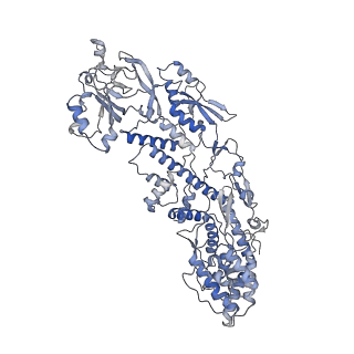 20089_6oj6_A_v1-4
In situ structure of rotavirus VP1 RNA-dependent RNA polymerase (DLP_RNA)