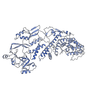 20089_6oj6_B_v1-4
In situ structure of rotavirus VP1 RNA-dependent RNA polymerase (DLP_RNA)