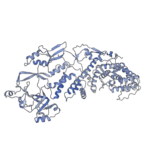 20089_6oj6_B_v1-5
In situ structure of rotavirus VP1 RNA-dependent RNA polymerase (DLP_RNA)