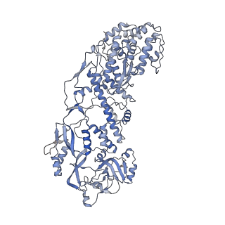 20089_6oj6_C_v1-4
In situ structure of rotavirus VP1 RNA-dependent RNA polymerase (DLP_RNA)