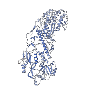 20089_6oj6_C_v1-5
In situ structure of rotavirus VP1 RNA-dependent RNA polymerase (DLP_RNA)