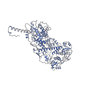 20089_6oj6_D_v1-4
In situ structure of rotavirus VP1 RNA-dependent RNA polymerase (DLP_RNA)
