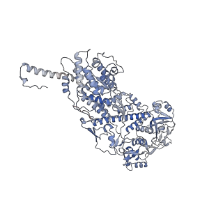20089_6oj6_D_v1-5
In situ structure of rotavirus VP1 RNA-dependent RNA polymerase (DLP_RNA)