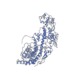 20089_6oj6_E_v1-4
In situ structure of rotavirus VP1 RNA-dependent RNA polymerase (DLP_RNA)