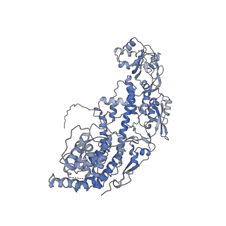 20089_6oj6_E_v1-5
In situ structure of rotavirus VP1 RNA-dependent RNA polymerase (DLP_RNA)