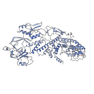 20089_6oj6_F_v1-4
In situ structure of rotavirus VP1 RNA-dependent RNA polymerase (DLP_RNA)