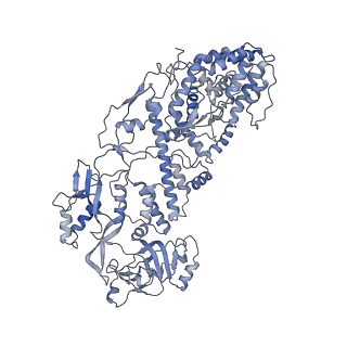 20089_6oj6_G_v1-4
In situ structure of rotavirus VP1 RNA-dependent RNA polymerase (DLP_RNA)