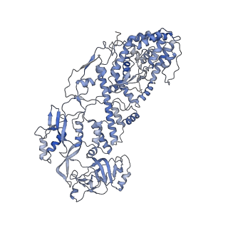 20089_6oj6_G_v1-5
In situ structure of rotavirus VP1 RNA-dependent RNA polymerase (DLP_RNA)