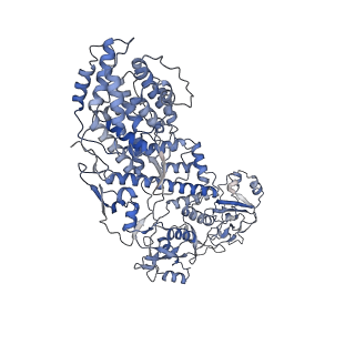 20089_6oj6_H_v1-4
In situ structure of rotavirus VP1 RNA-dependent RNA polymerase (DLP_RNA)