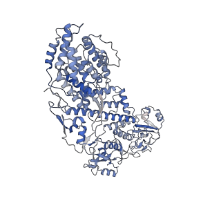 20089_6oj6_H_v1-5
In situ structure of rotavirus VP1 RNA-dependent RNA polymerase (DLP_RNA)