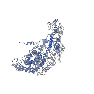 20089_6oj6_I_v1-4
In situ structure of rotavirus VP1 RNA-dependent RNA polymerase (DLP_RNA)